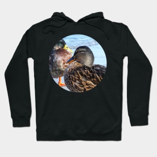 Three Ducks on the Beach Hoodie